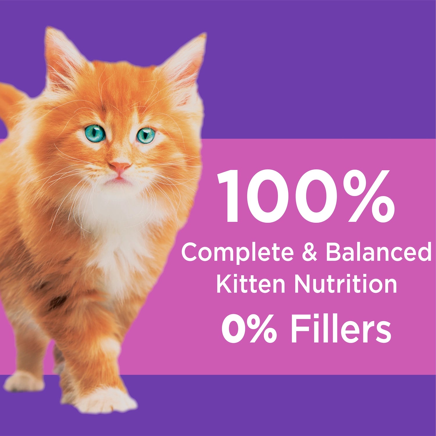 100% Complete & Balanced Kitten Nutrition, 0% Fillers
