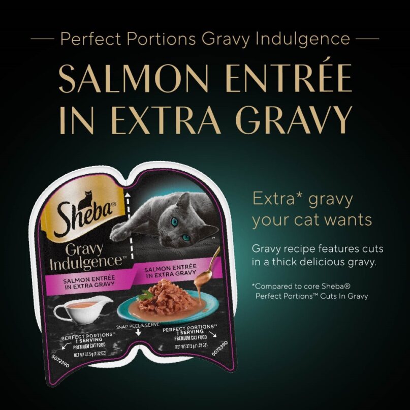 Sheba Gravy Indulgence Adult Wet Cat Food, Salmon Entrée in Extra Gravy, 2.64 oz
